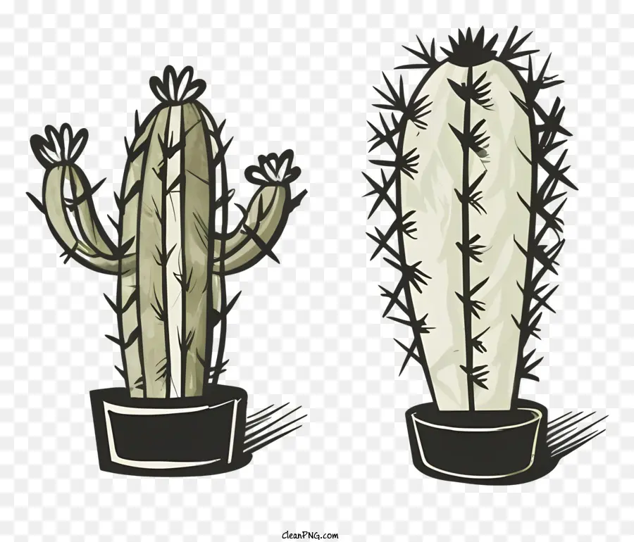 Cactus Plantes，Mouvement Et Profondeur PNG