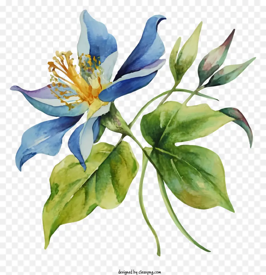 Peinture，Fleur Bleue PNG