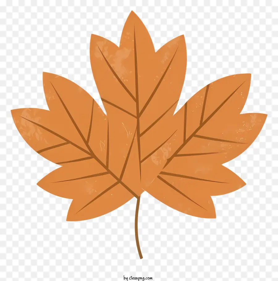 Des Feuilles Marron，Arrière Plan Noir PNG