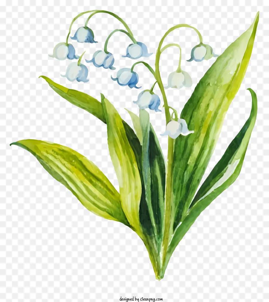 Aquarelle Fleurs，Bleu Bouquet PNG