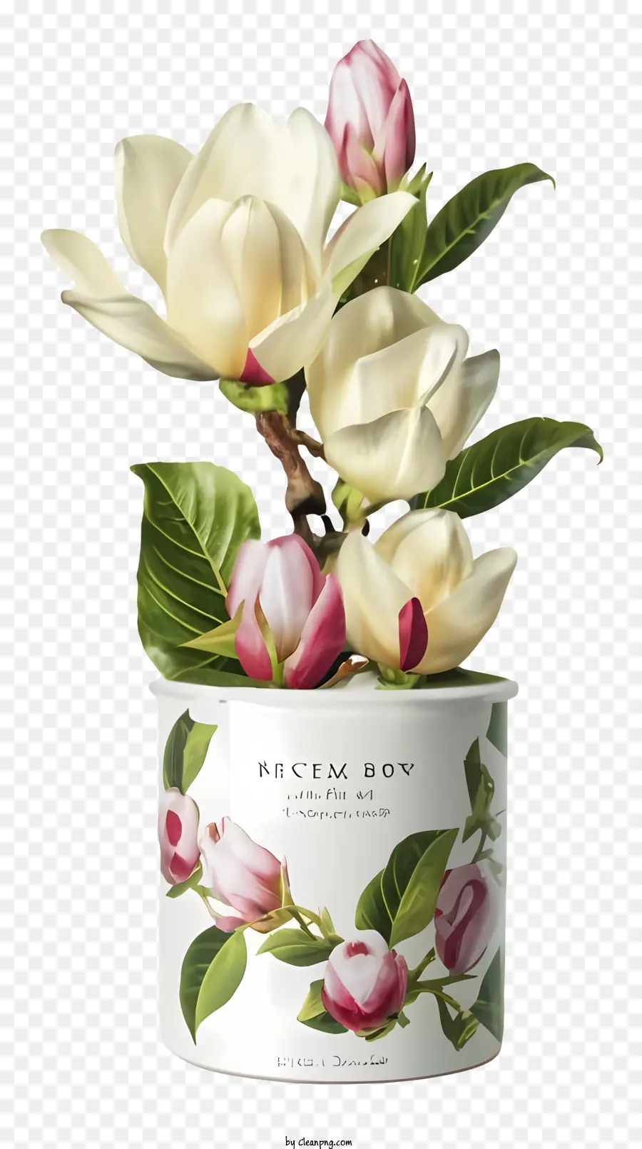 Pot Blanc，Magnolia PNG