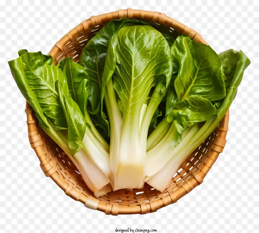 Panier Tressé，Bok Choy PNG