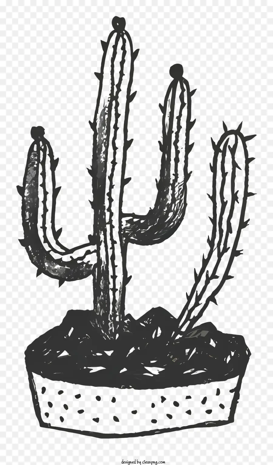 Cactus，Désert PNG