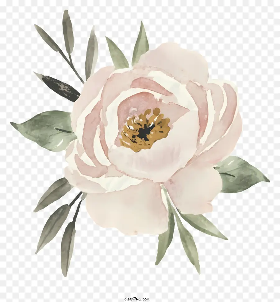 Rose De Fleurs De Pivoine，Feuilles Vertes PNG