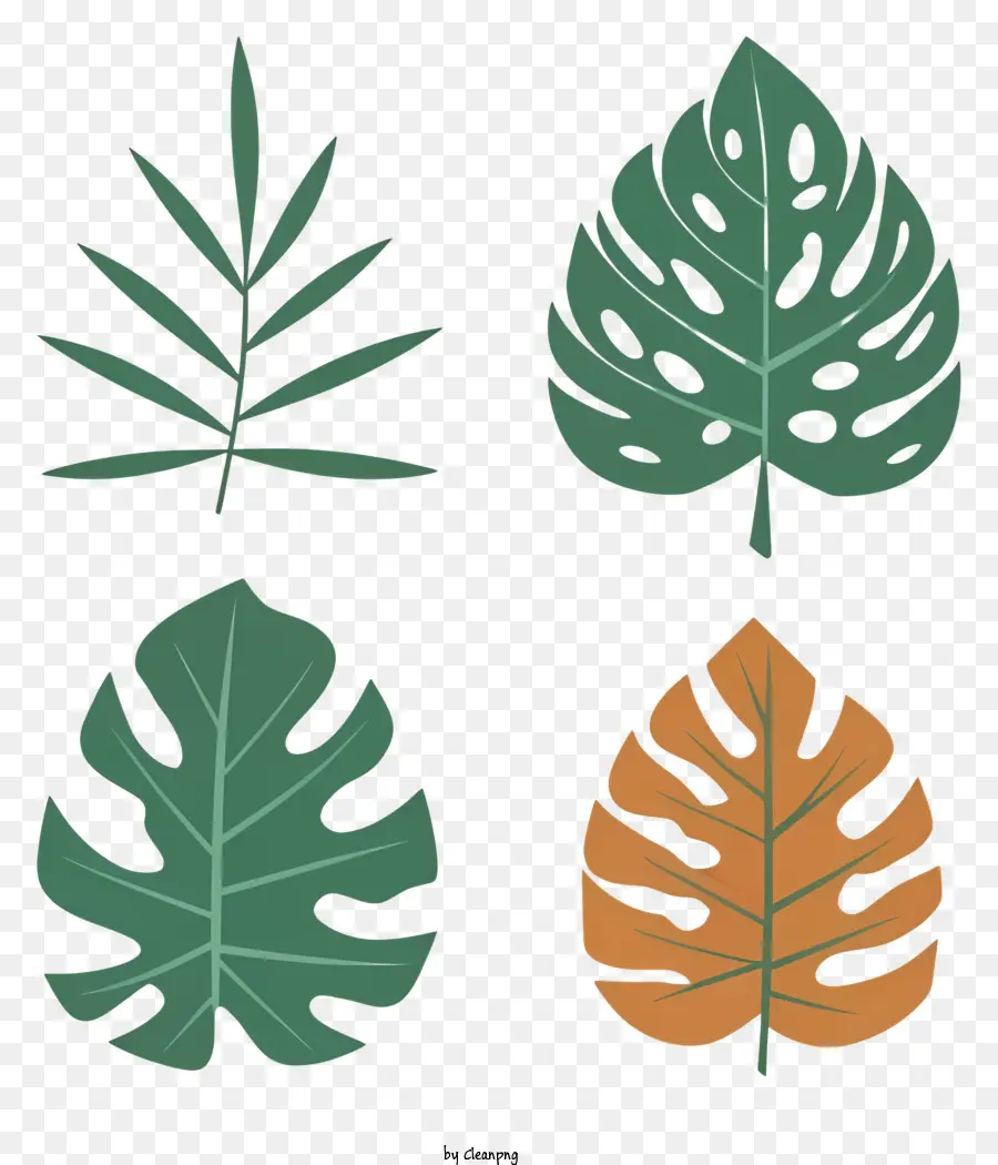 Feuilles，Tailles PNG