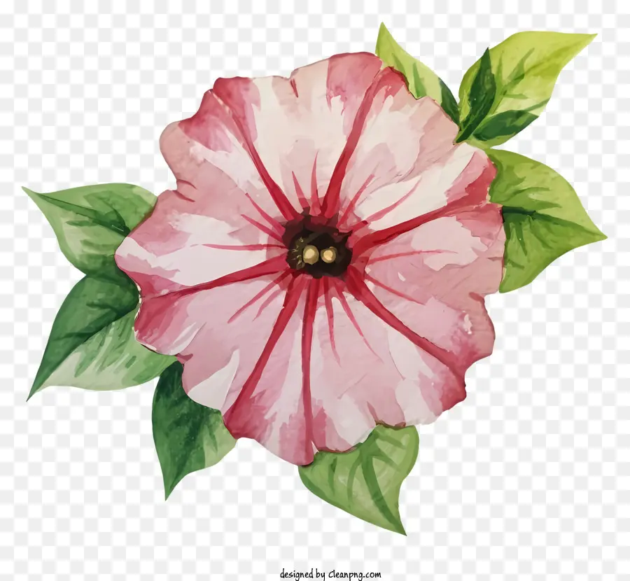 Fleur Rose，Fleur Violette PNG