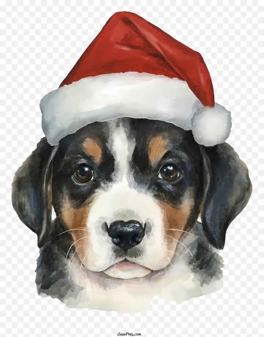 Chien En Chapeau De Père Noël，Chien Heureux PNG