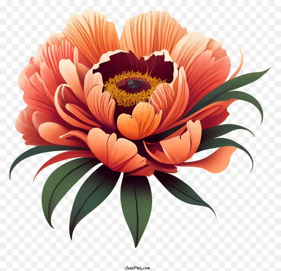 Fleur，Fleur Rouge PNG