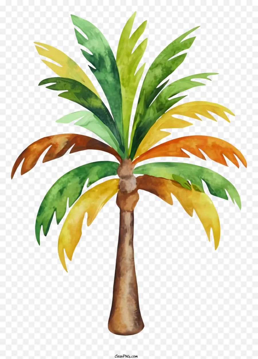 Peinture De Forêt Tropicale，Aquarelle Art PNG