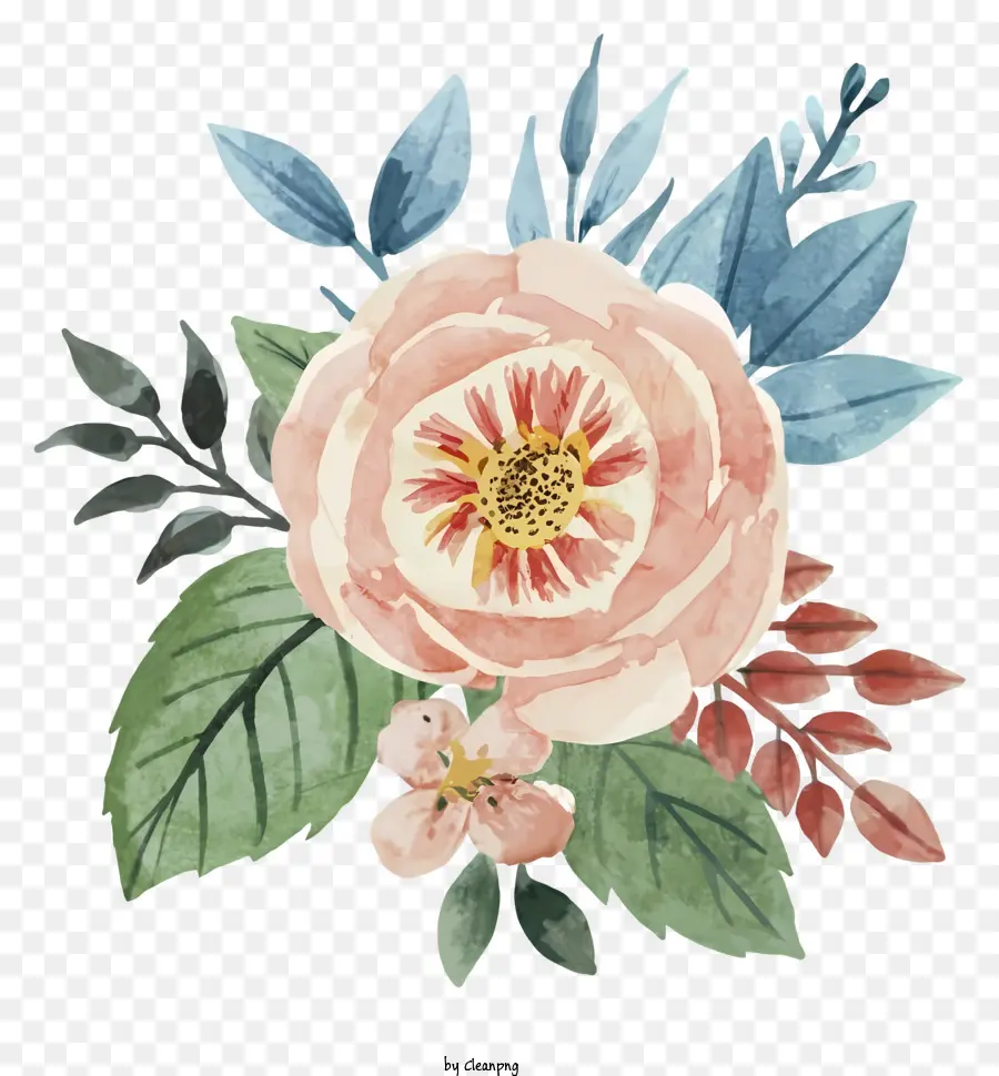 Illustration Aquarelle，Rose Rose PNG