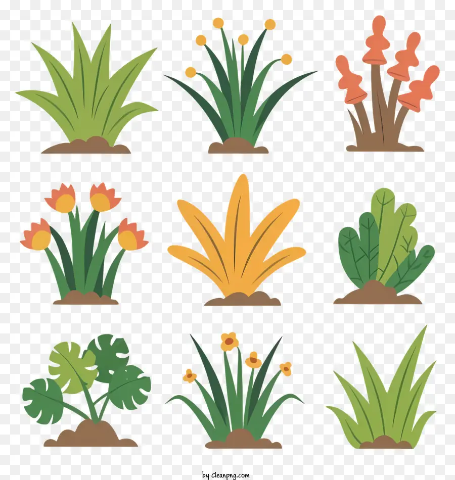 Plantes Florales，Diverses Plantes PNG