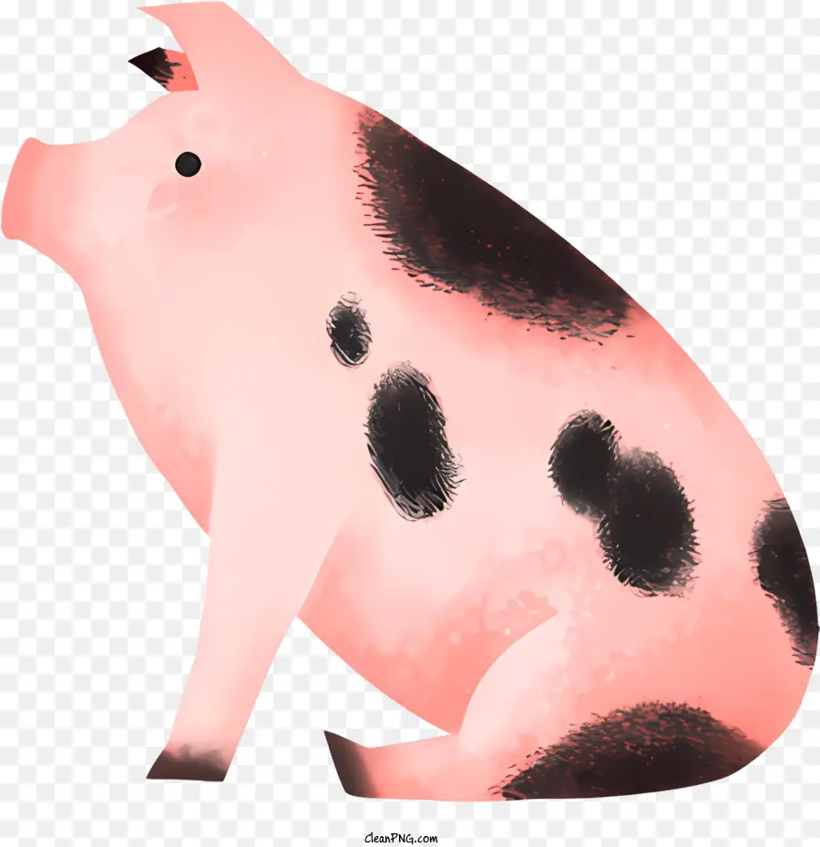 Bande Dessinée De Porc，Cochon PNG