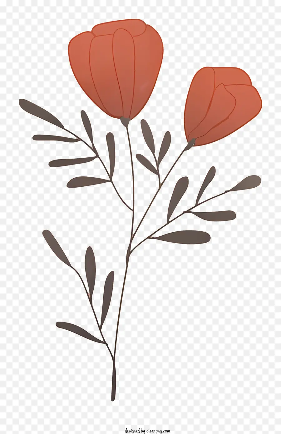 Fleur D'oranger，Fleur PNG