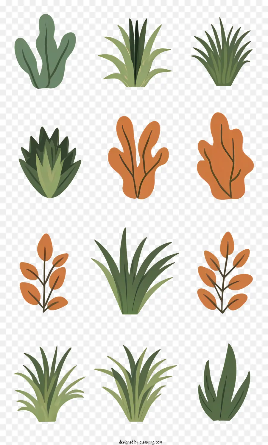 Plantes Vertes，Diverses Plantes PNG