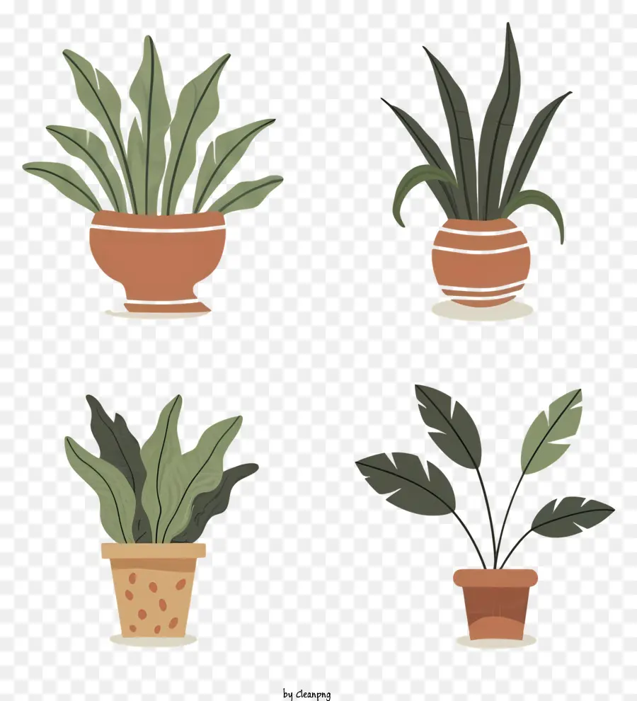 Les Plantes En Pot，Des Pots D'argile PNG