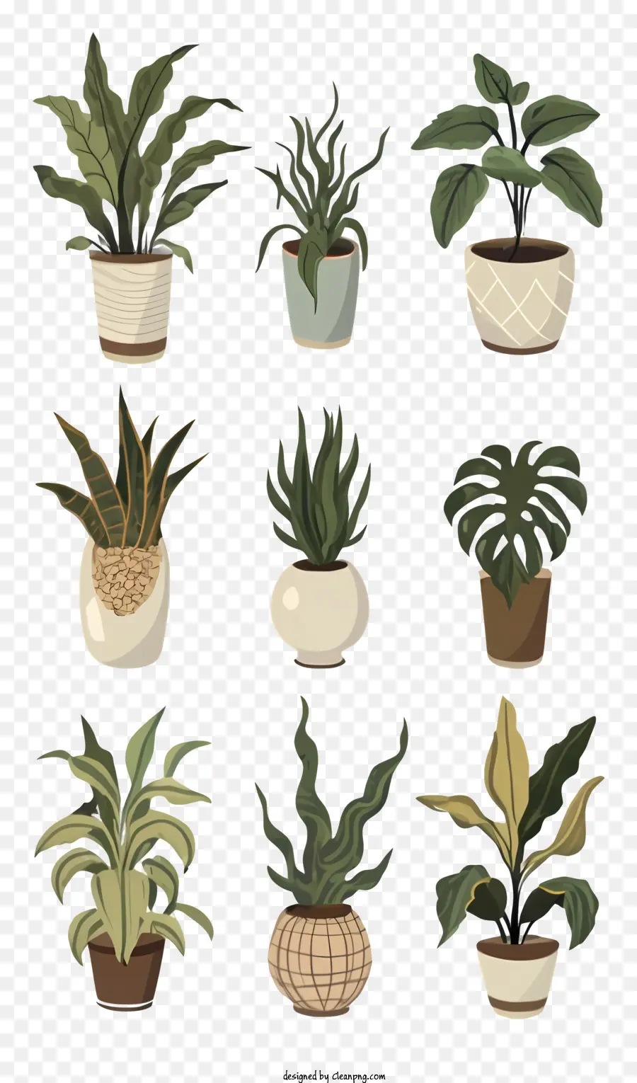 Les Plantes En Pots，Succulentes PNG