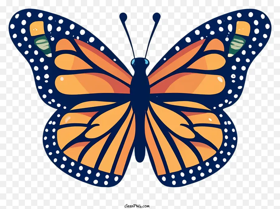 Papillon Monarque，Des Ailes De Papillon PNG