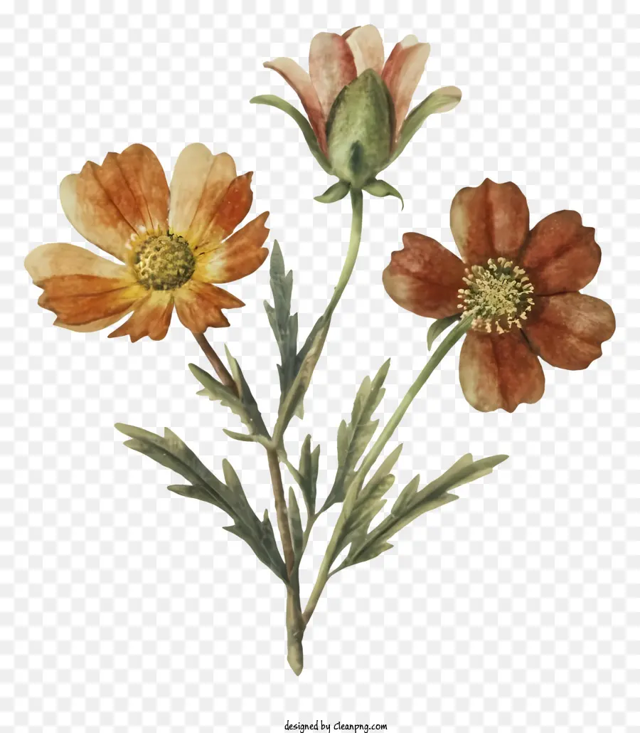 Peinture，Fleurs PNG