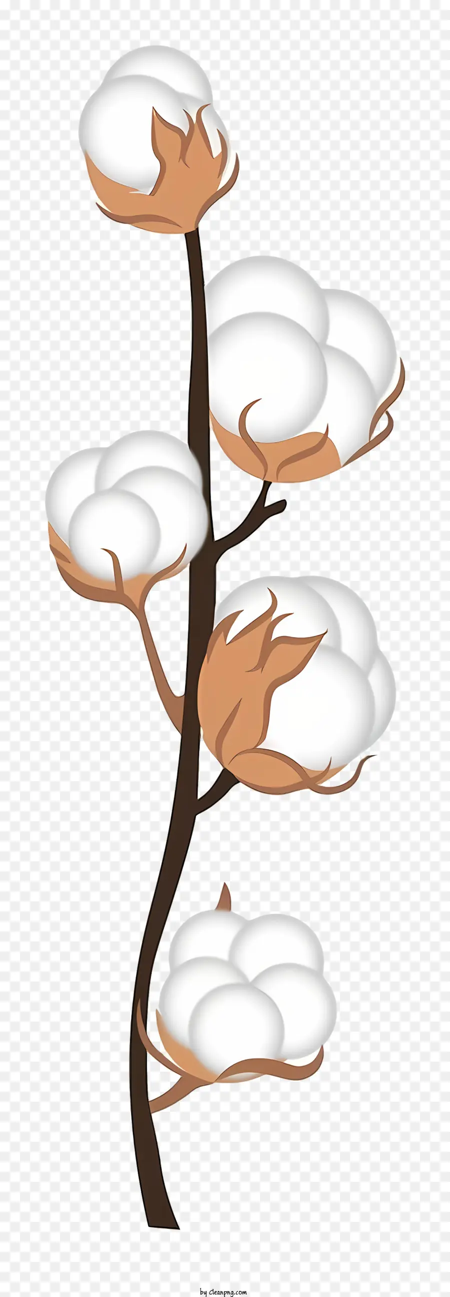 Plante De Coton，Cotonnier PNG