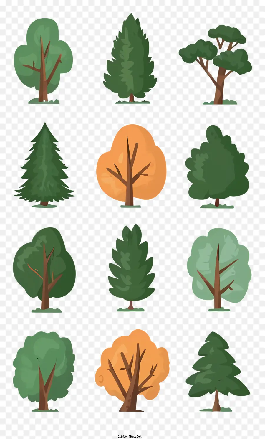 Les Arbres，Différents Types D'arbres PNG
