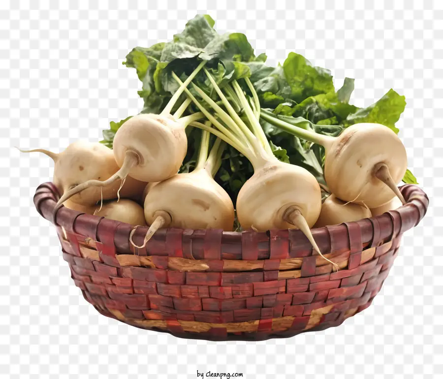 Navets，Légumes Frais PNG