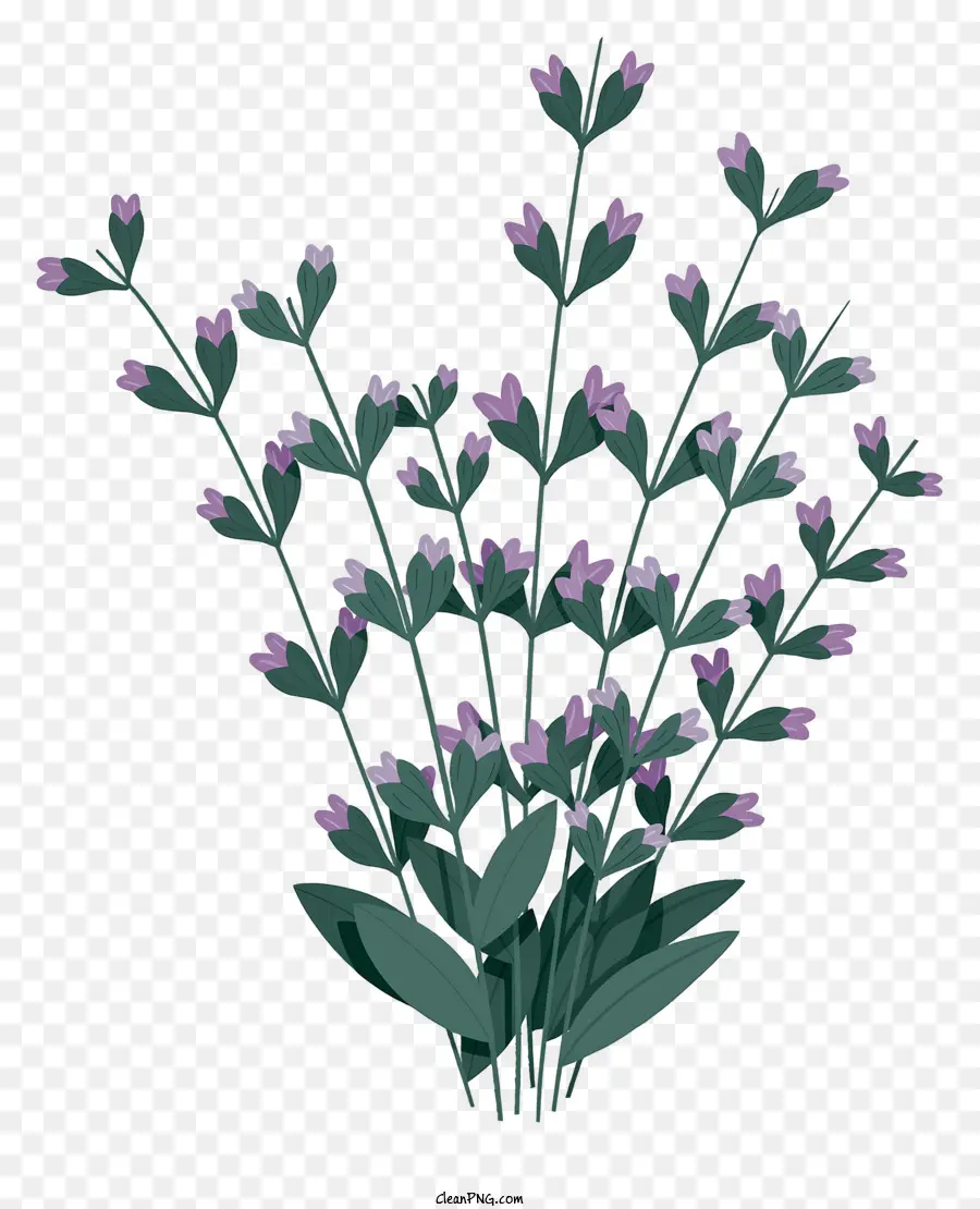 Fleurs Pourpres，Bouquet PNG