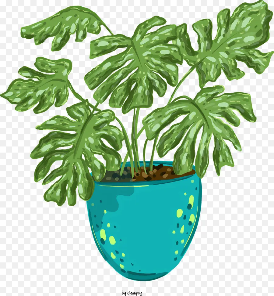 Plante En Pot，Grandes Feuilles Vertes PNG