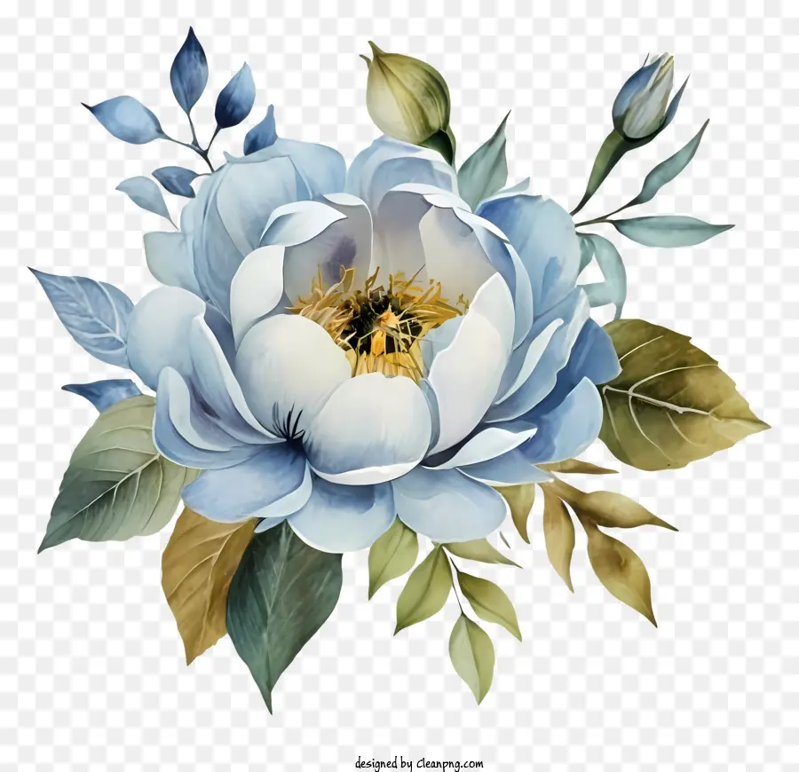 Fleurs De Pivoine，Fleur Bleue Et Blanche PNG