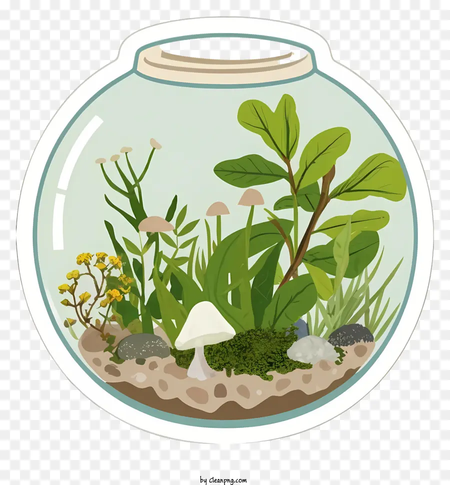 Grand Aquarium，Terrarium PNG