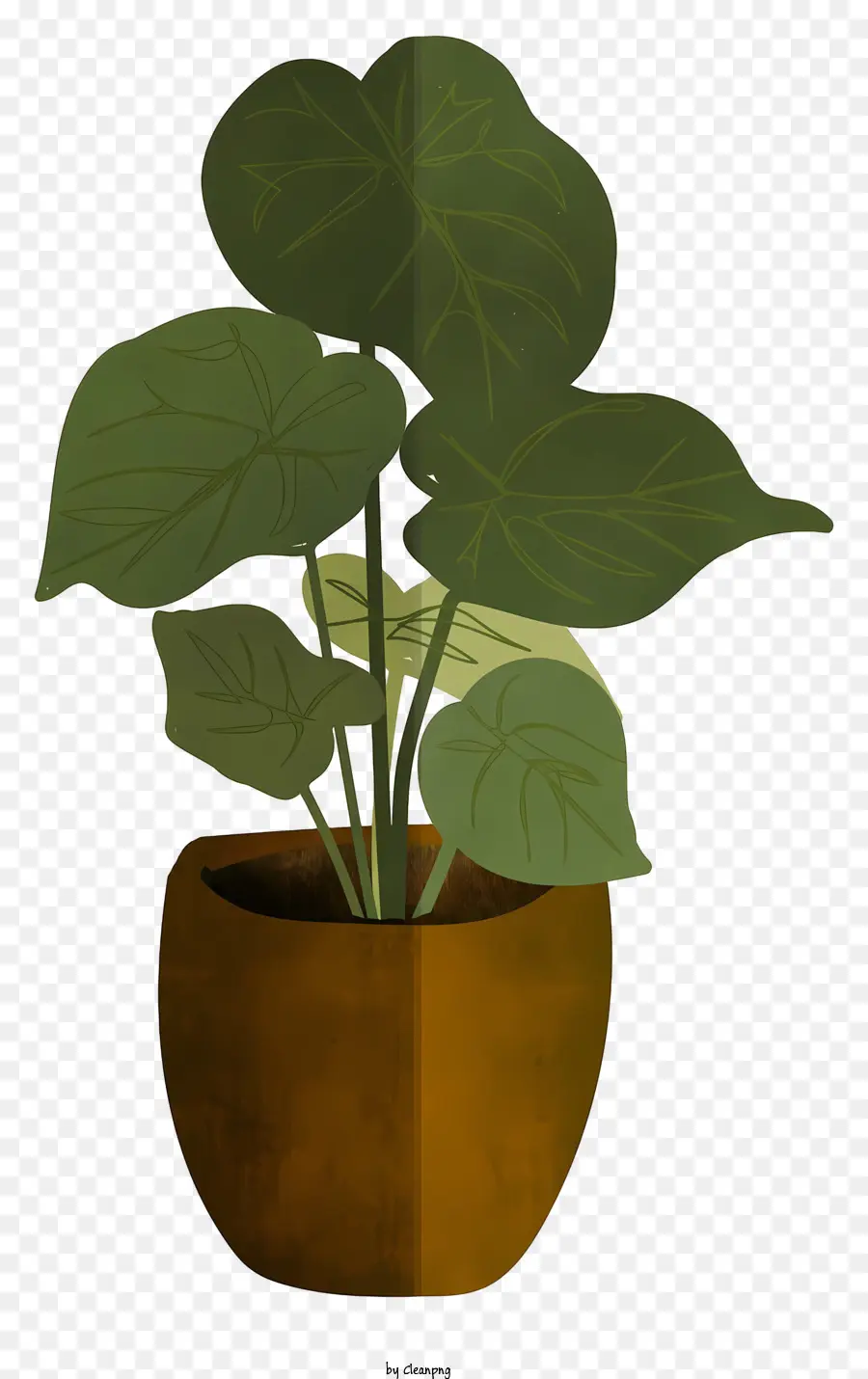 Plante En Pot，Feuilles PNG