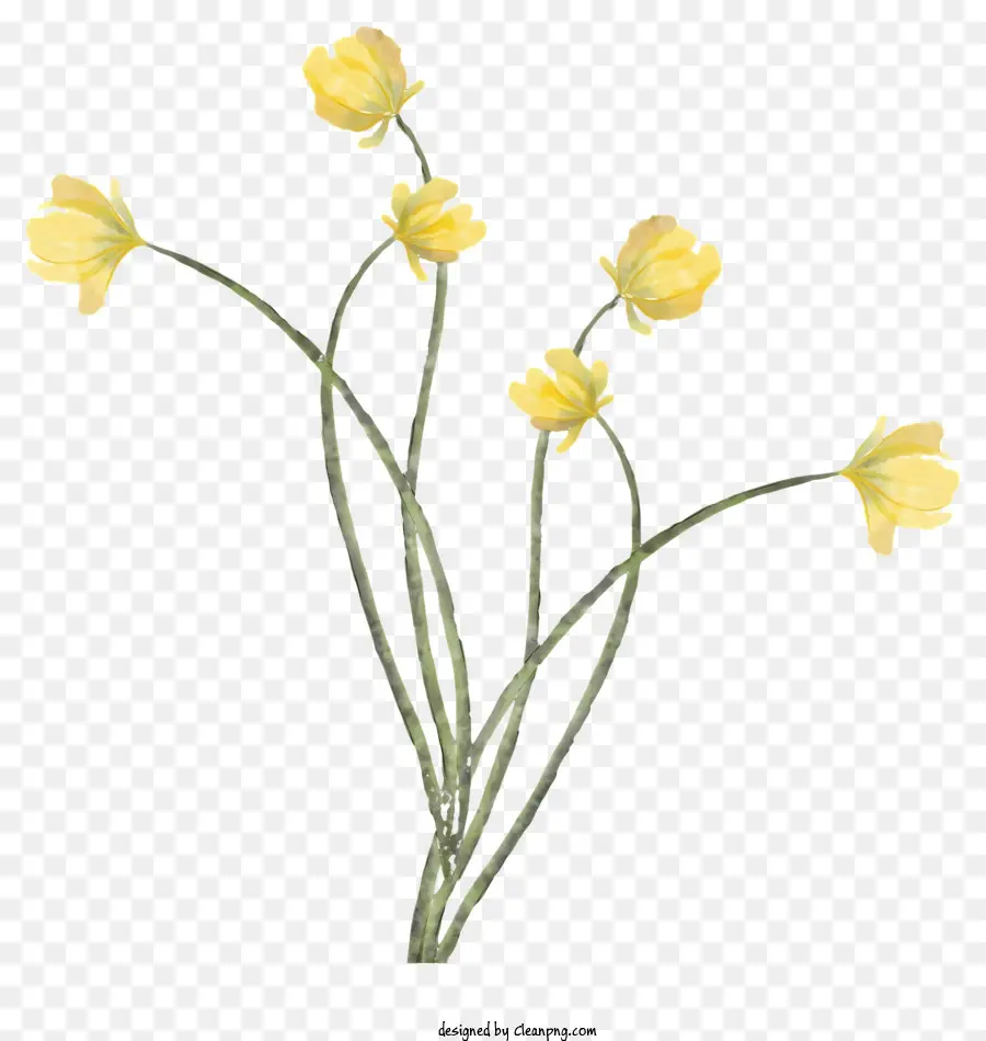 Fleurs Jaunes，Arrangement Floral PNG