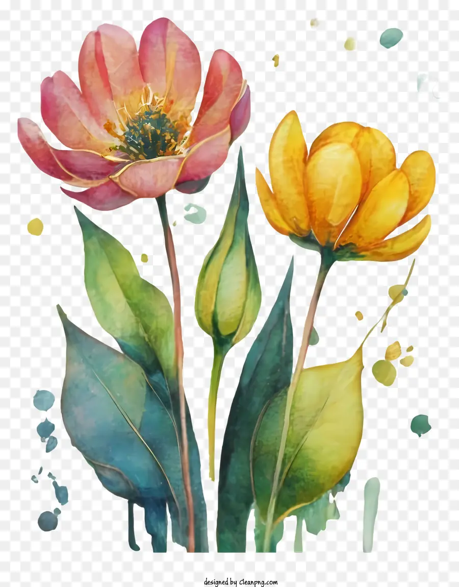 Fleur Peinture，Fleurs Roses Et Jaunes PNG