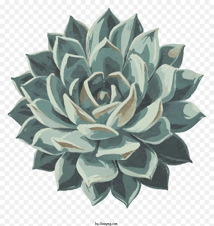 Peinture à L'aquarelle，Succulent PNG