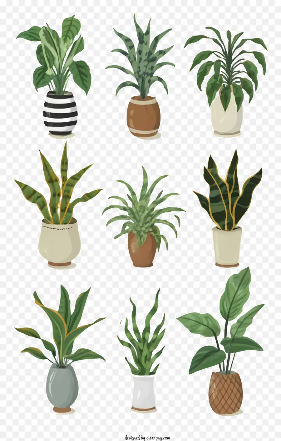 Plantes D'intérieur，Plantes En Pot PNG