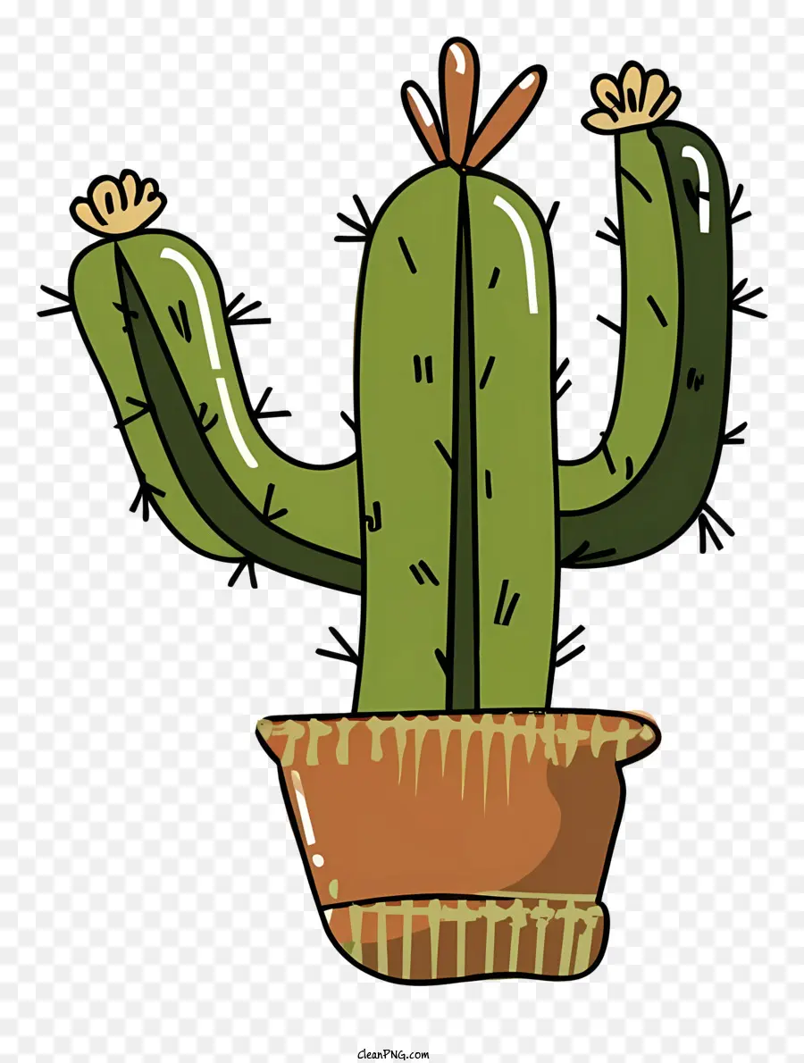 Plante De Cactus，Cactus PNG