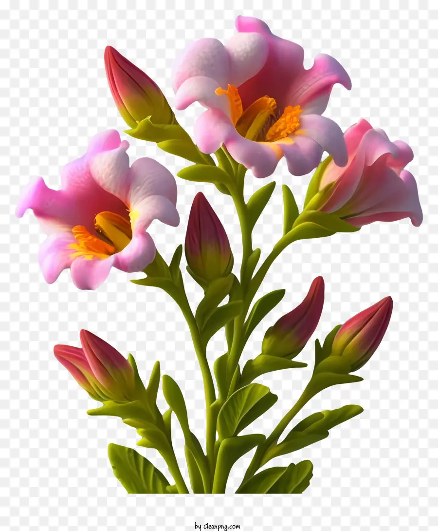 Fleurs Roses，Bouquet PNG