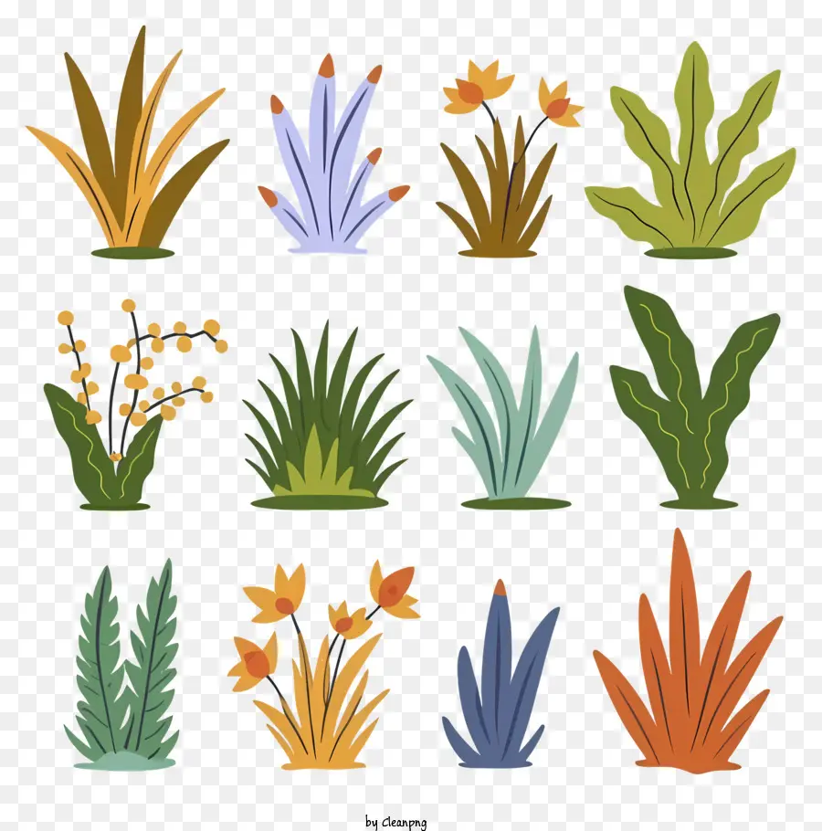 Plantes，Feuilles PNG