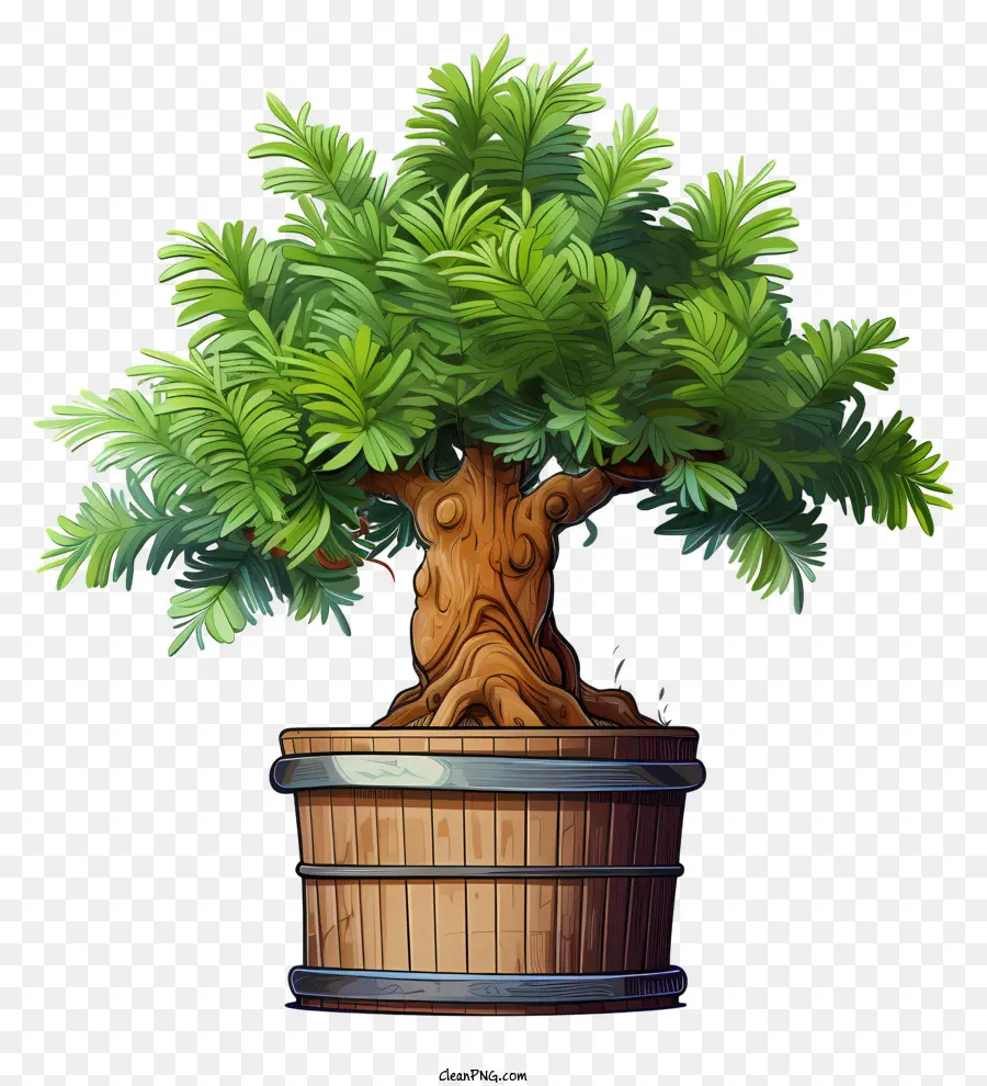 Bonsaï，Arbre En Pot PNG