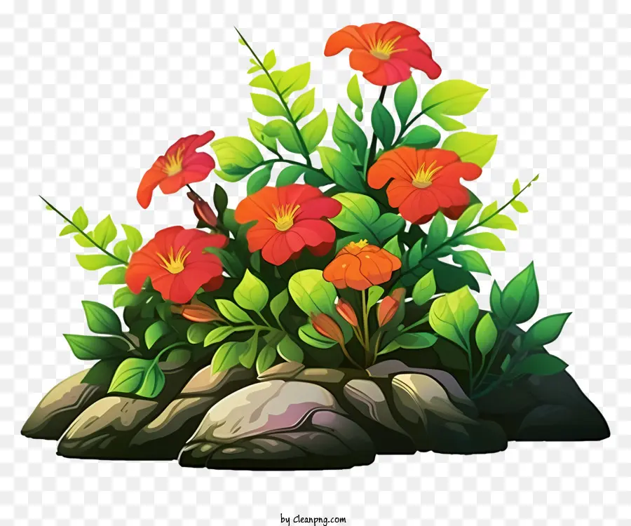 Fleurs Rouges，Bloom PNG