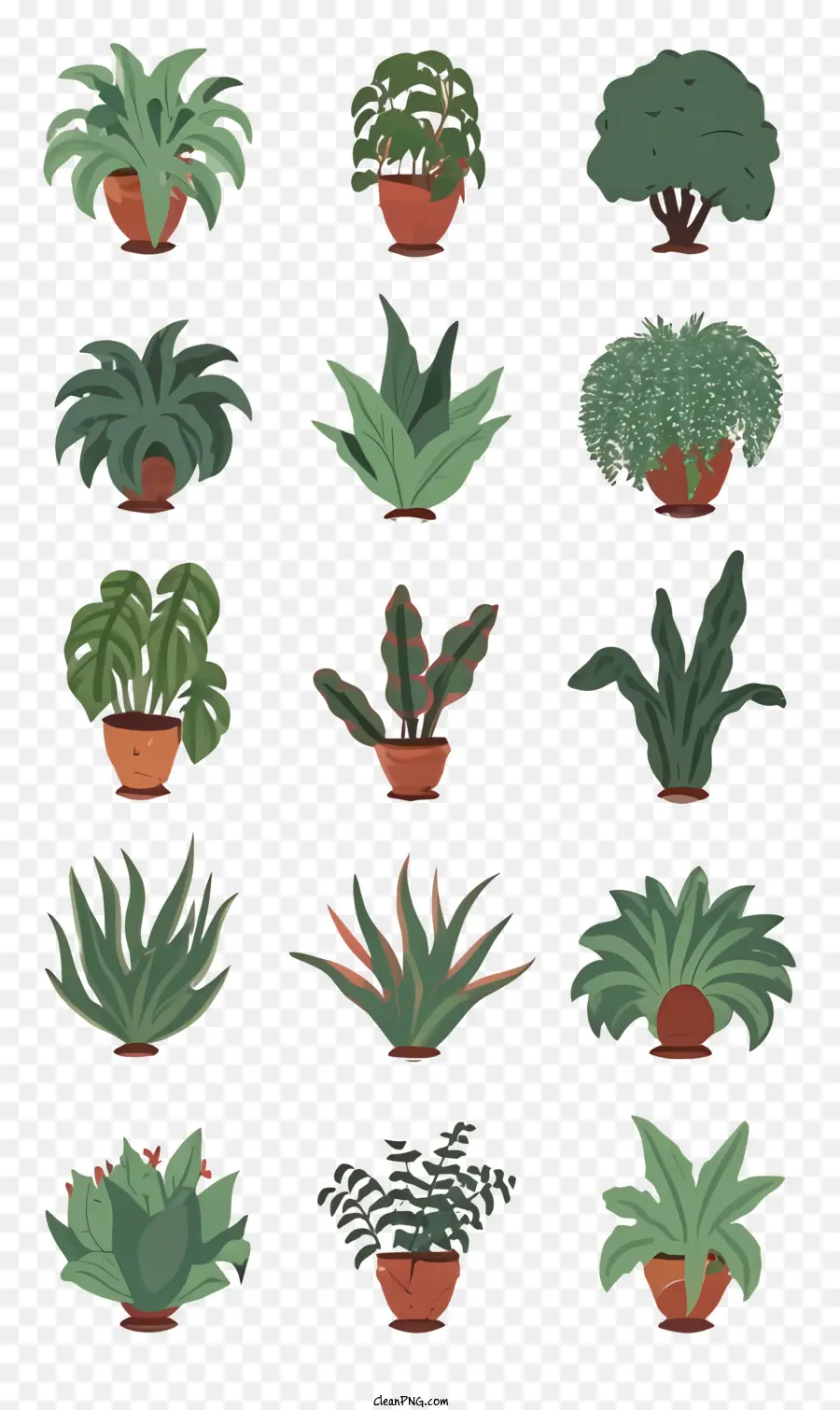 Collection De Plantes，Plantes En Pot PNG