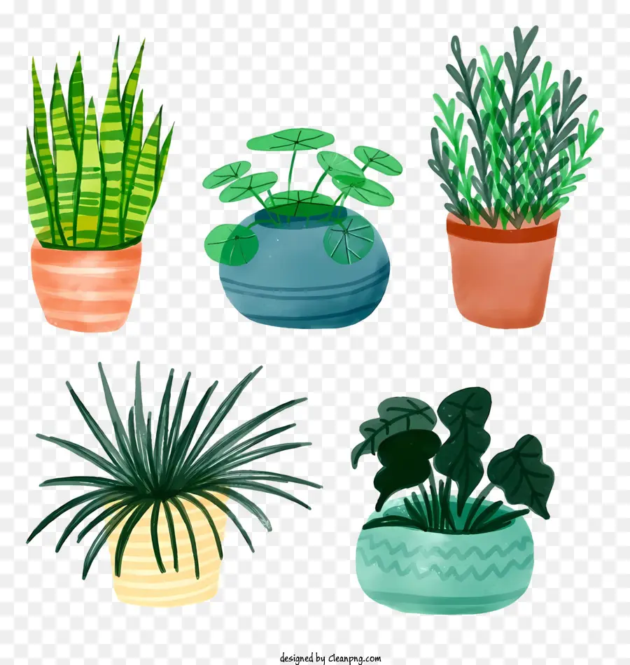 Les Plantes En Pot，Plantes Vertes PNG
