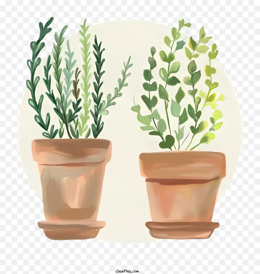 Les Plantes，Jardinières En Pot PNG