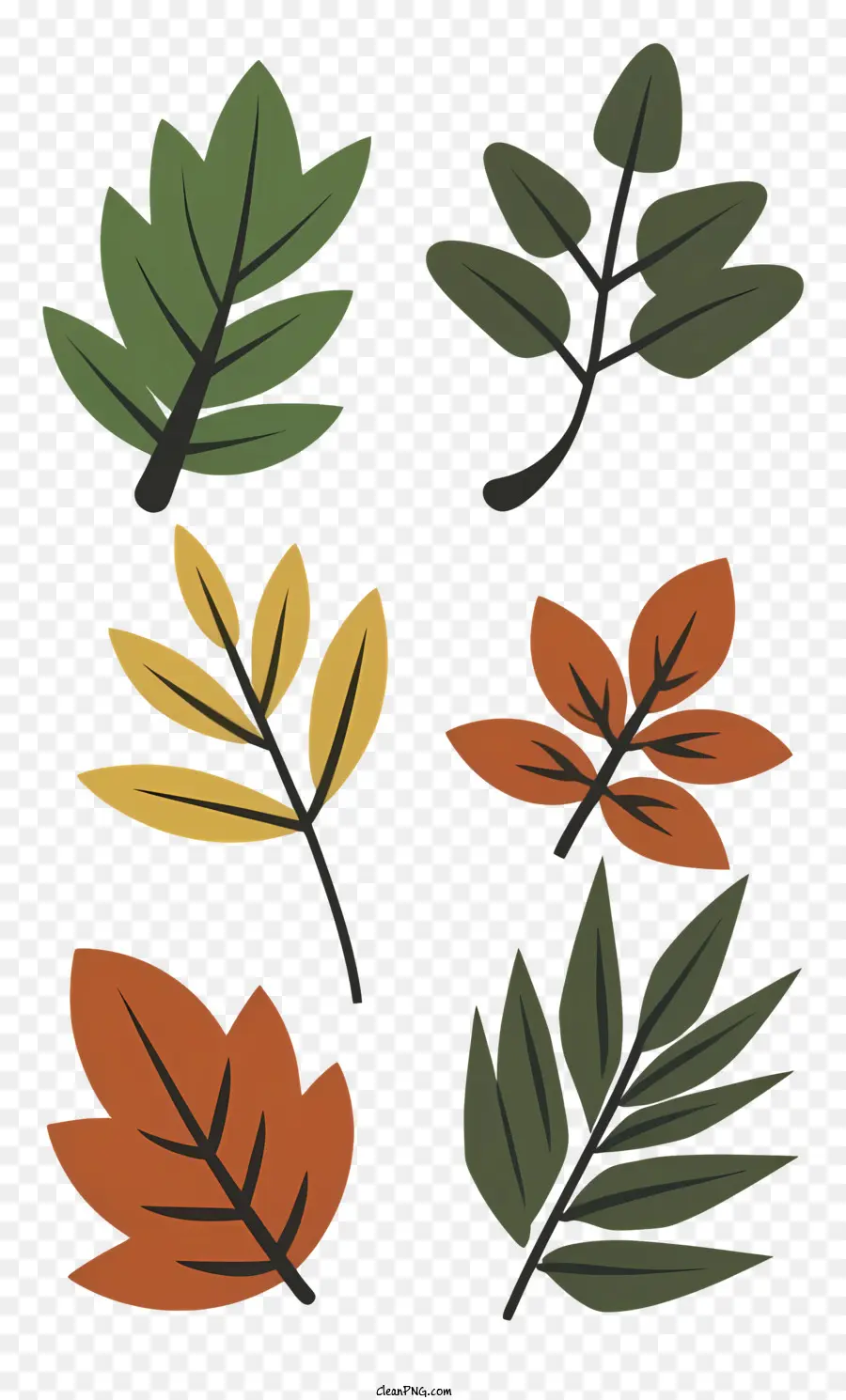 Feuilles Feuillues，Feuilles Colorées PNG