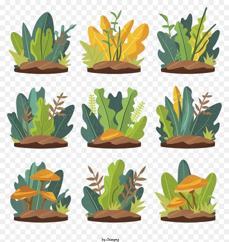 Plantes，Feuilles PNG