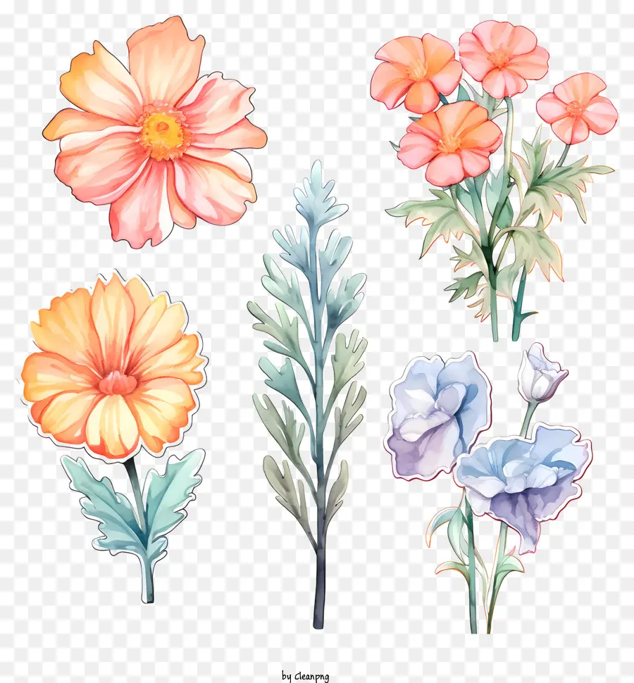 Bouquet De Fleurs，Orange Et Purple Daisy PNG