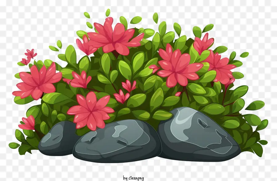 Fleurs Roses，Fleurs Rouges PNG