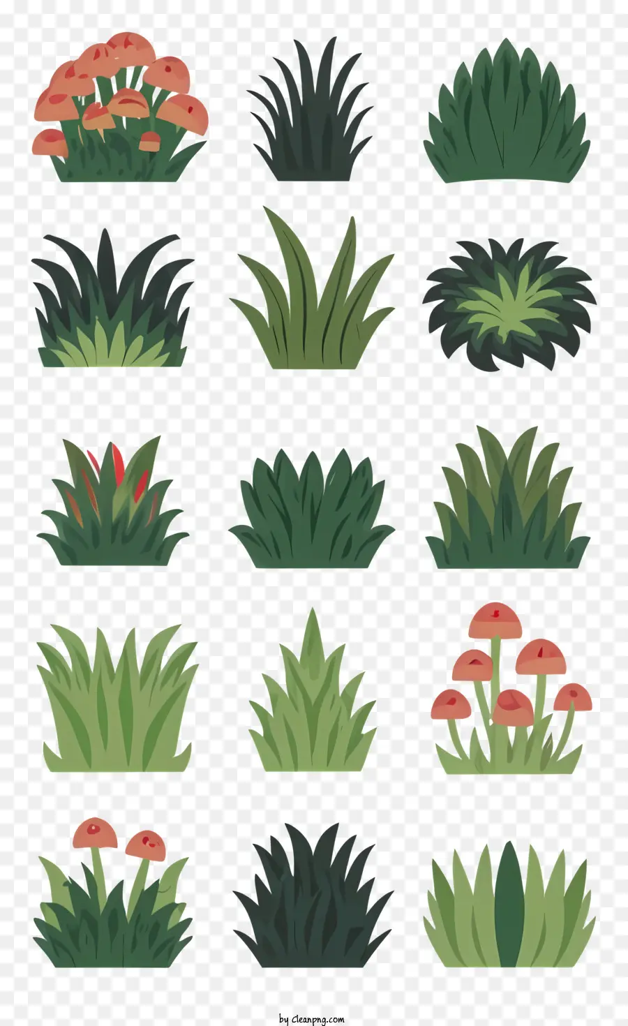 Plantes Vertes，Feuilles PNG