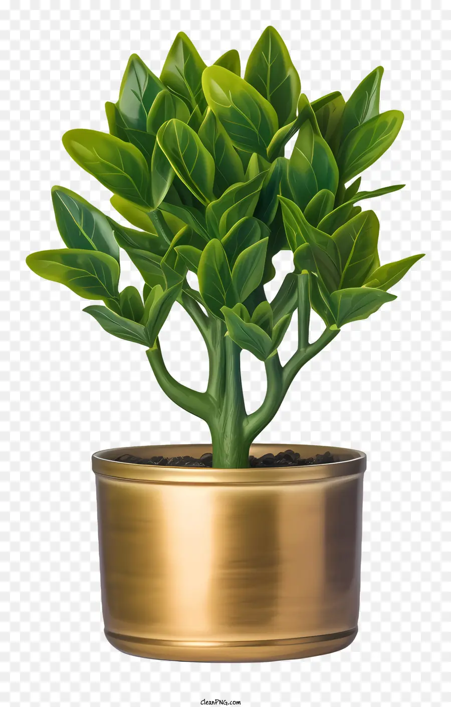 Plante Dans Un Vase Doré，Usine PNG