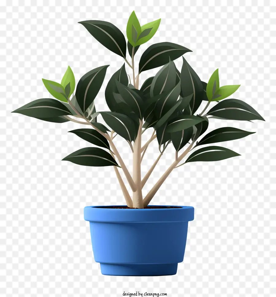 Petit Pot Bleu，Plante En Pot PNG