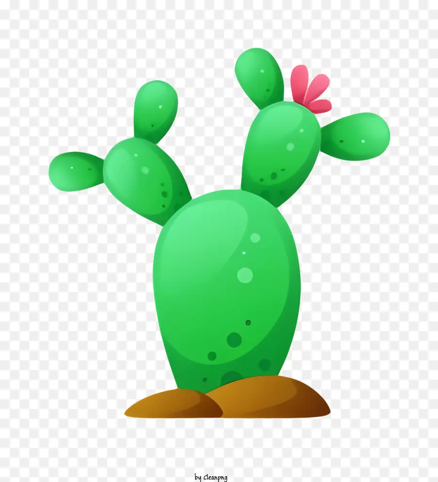 Cactus，Fleurs Roses PNG